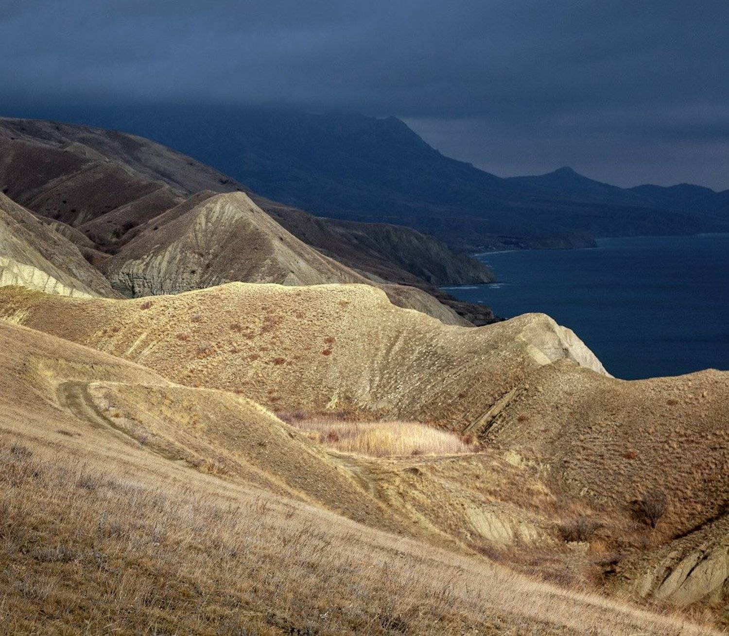 , Андрей Гусаченко