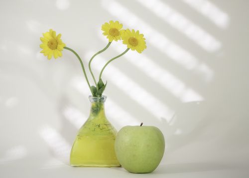 yellow daisys.