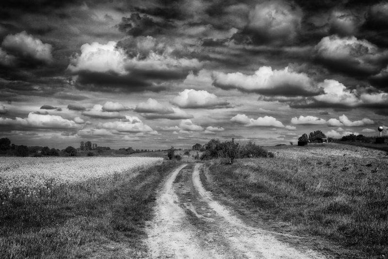 Cloudy day фото превью