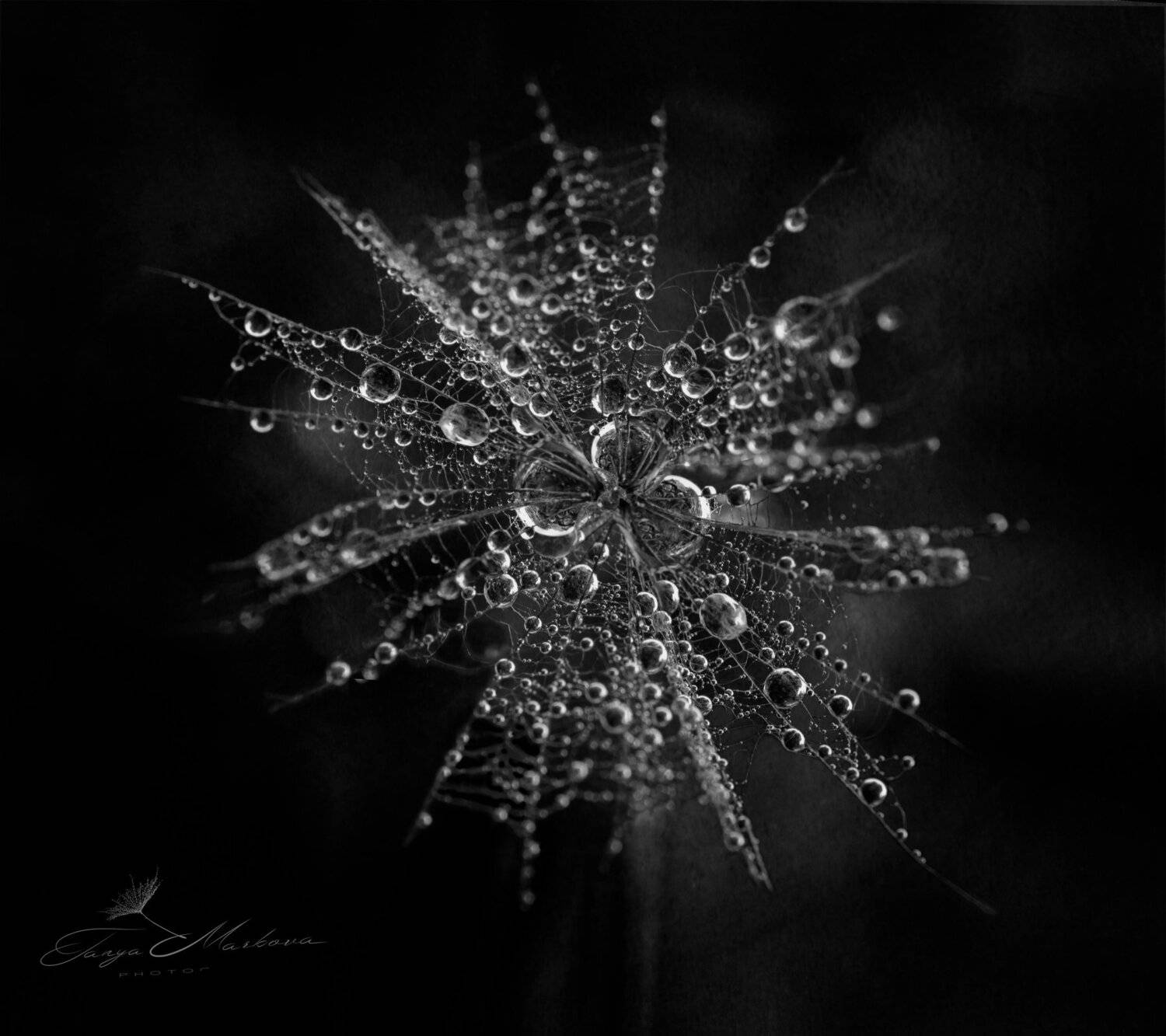 , Таня  Маркова