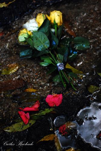 Offer to a goddess in a waterfall in Sintra