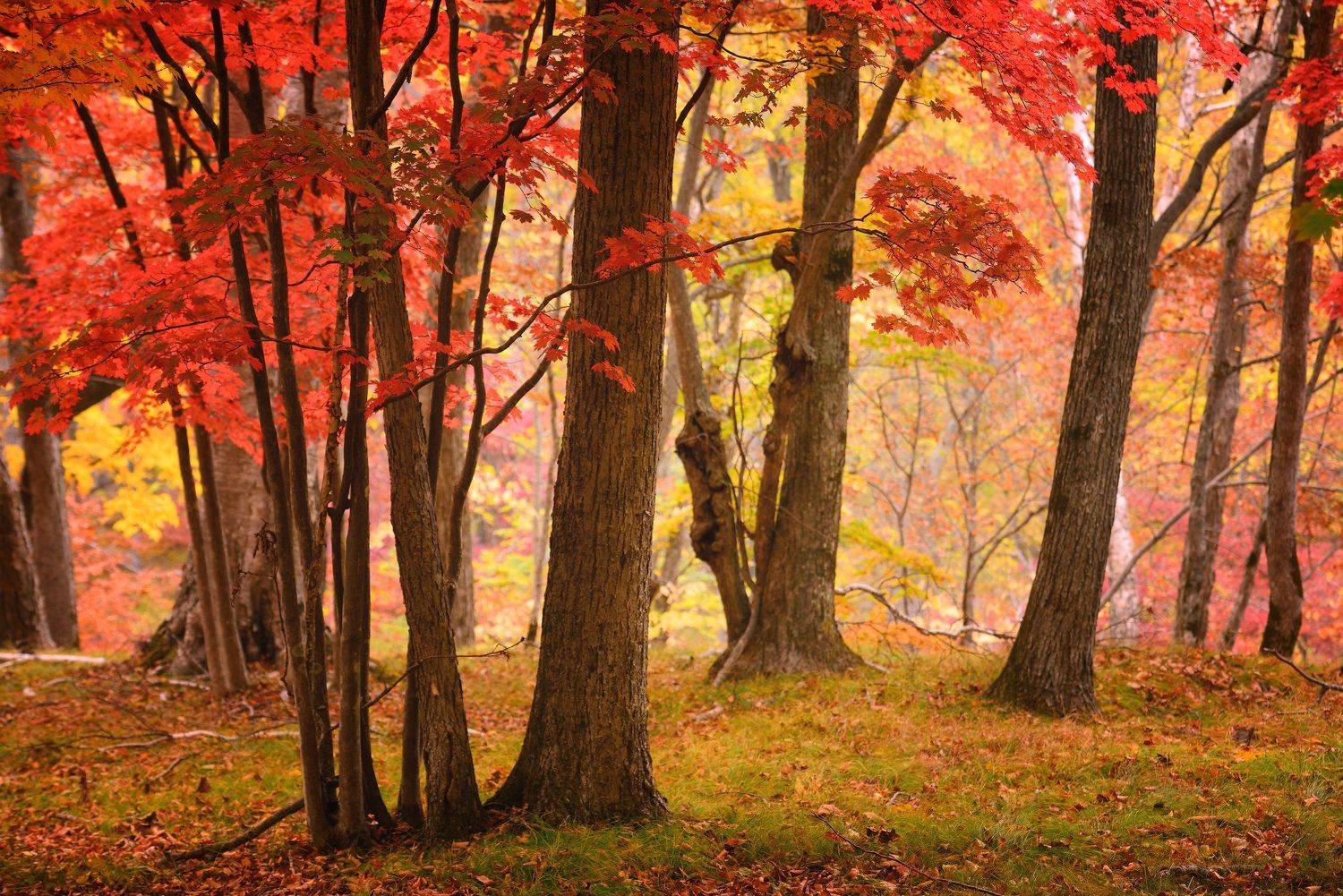 , Максим Евдокимов (phototourtravel.ru)