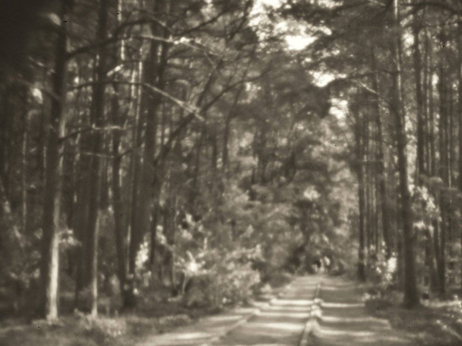 , Владимир Леликов-Кузьменко