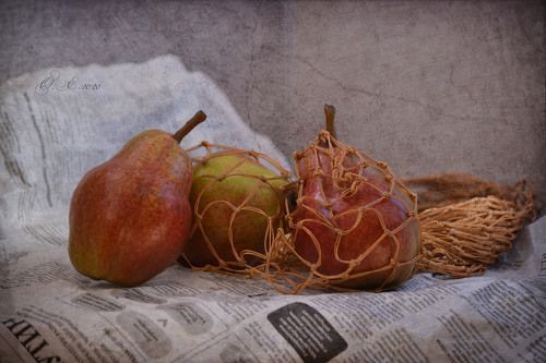 Свобода или сладкий плен?