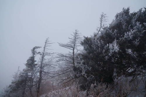 Winter fog on the mountain