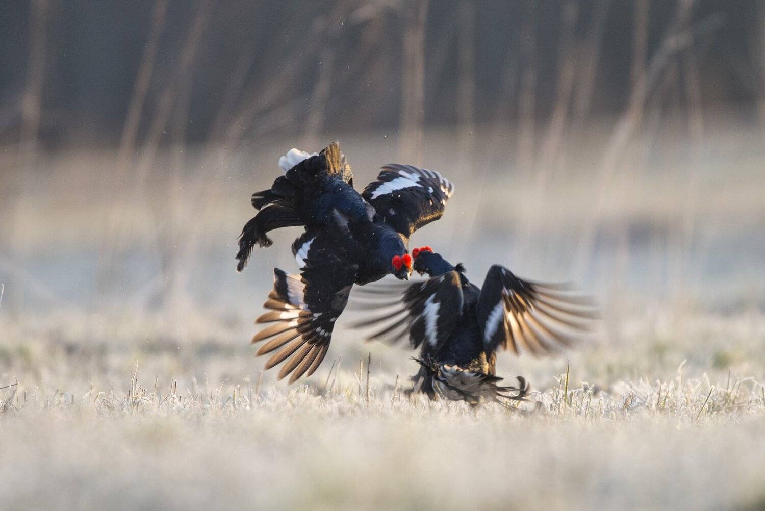 , Юрий Кулаков