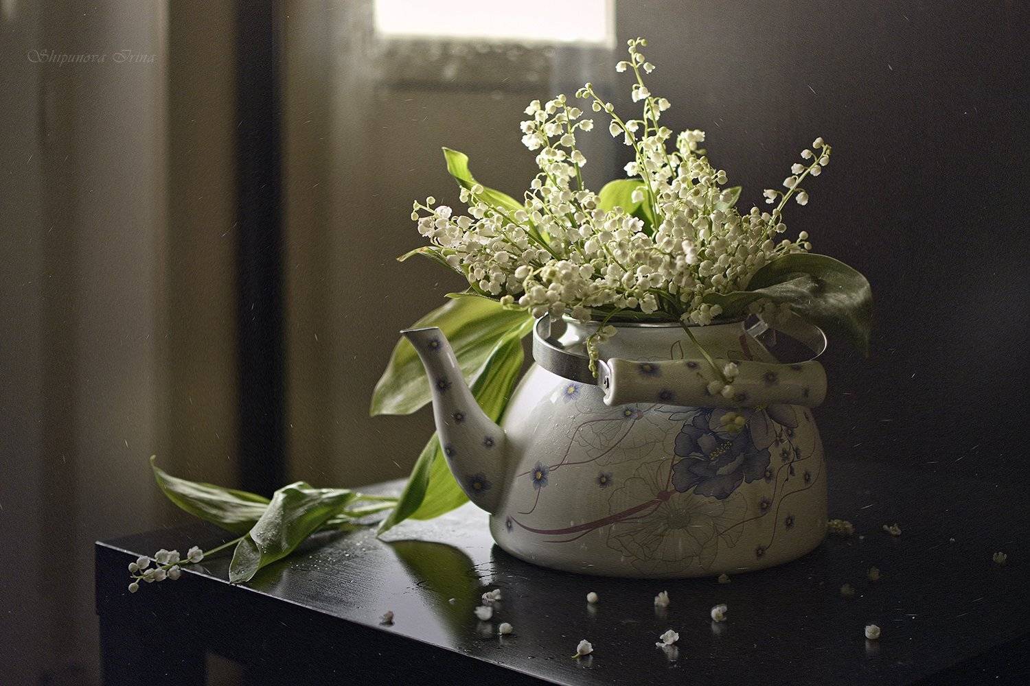 , Шипунова Ирина