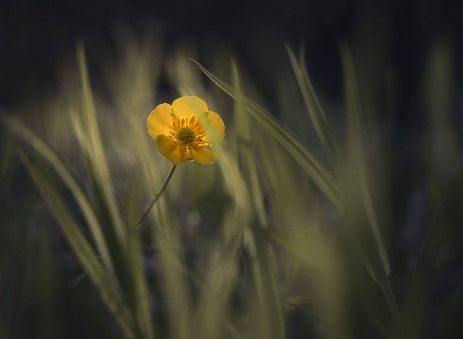 , Баранов Олег