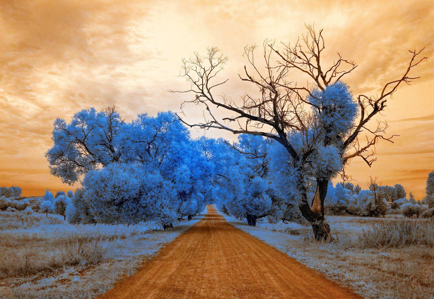 infrared,ик-фото,инфракрасное фото, инфракрасная фотография, пейзаж, лето, Sixten ( Сергей )