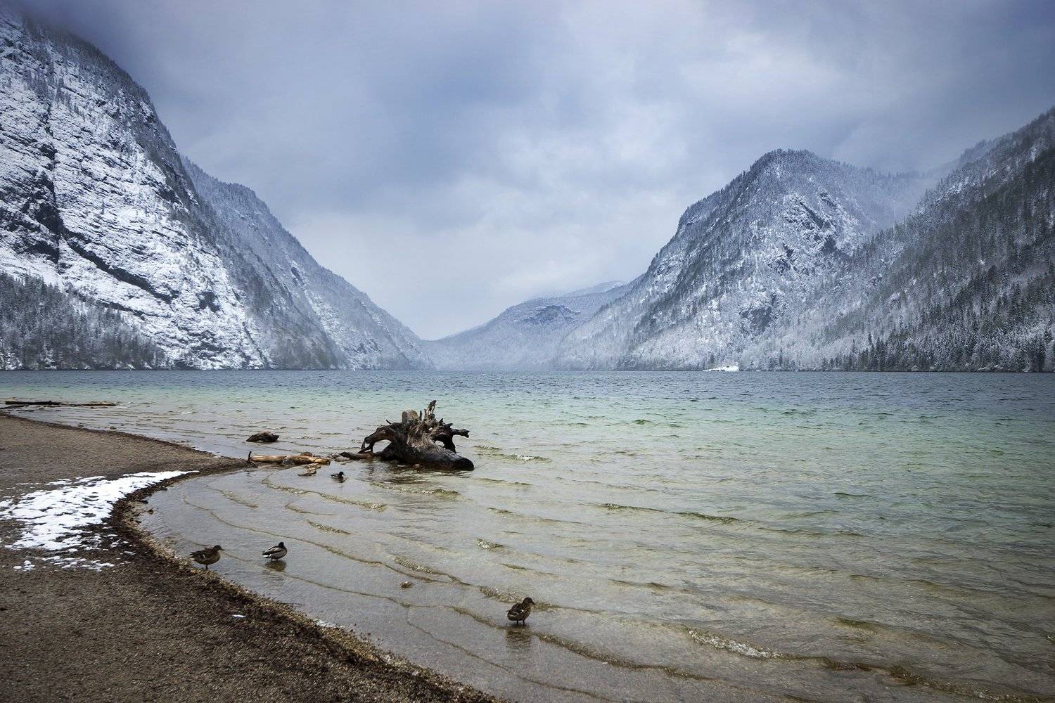 , Владислав