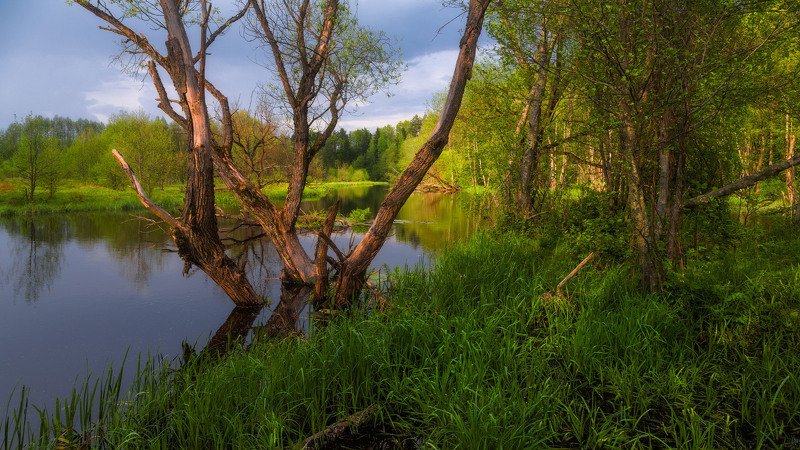 Весна на реке Клева фото превью