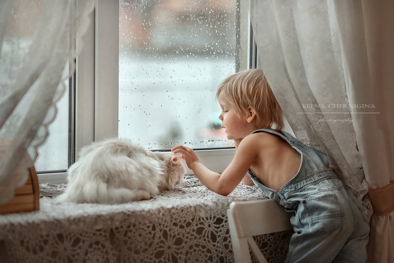 мальчик, съемка дома, у окна, дневной свет, дети, художественная фотография, дети и животные Дождливый день фото превью