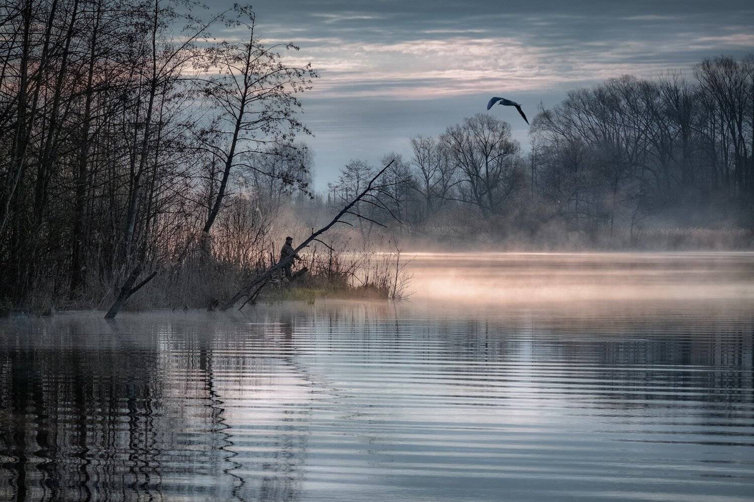 шатура, озеро, лес, утро, рассвет, рыбак, чайка, деревья, туман, дымка, пейзаж, Андрей Чиж