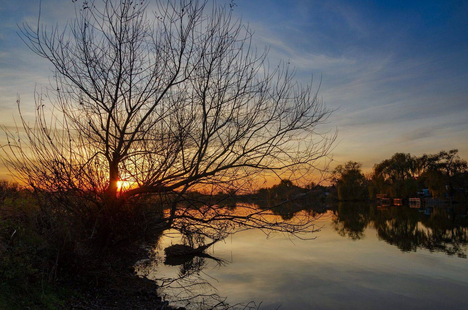 , Алексей Рыльский