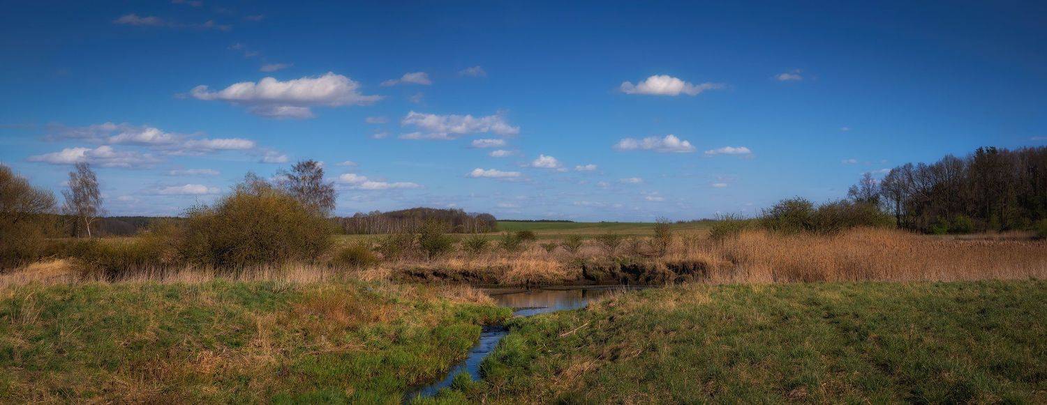 весна, апрель,, Сергей Шабуневич
