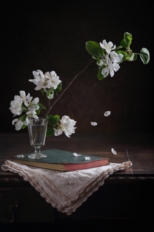 Цвет яблони фото превью