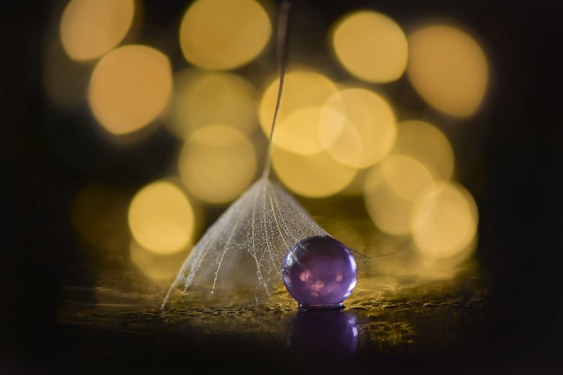 bokeh, dandelion, macro  фото превью