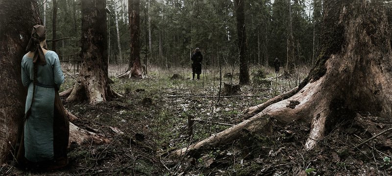 Загадки леса... фото превью