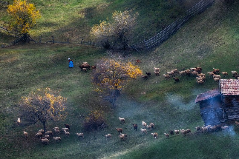 Осень в Болгарии фото превью