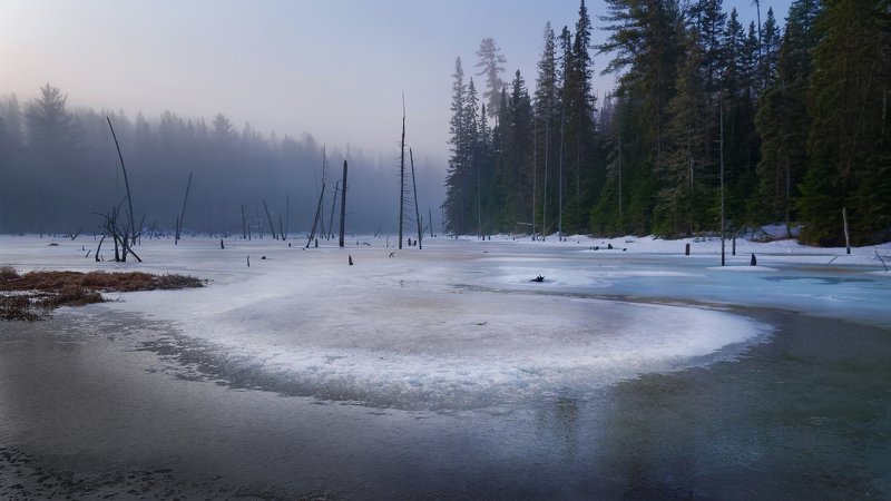 Долгий путь к лету фото превью