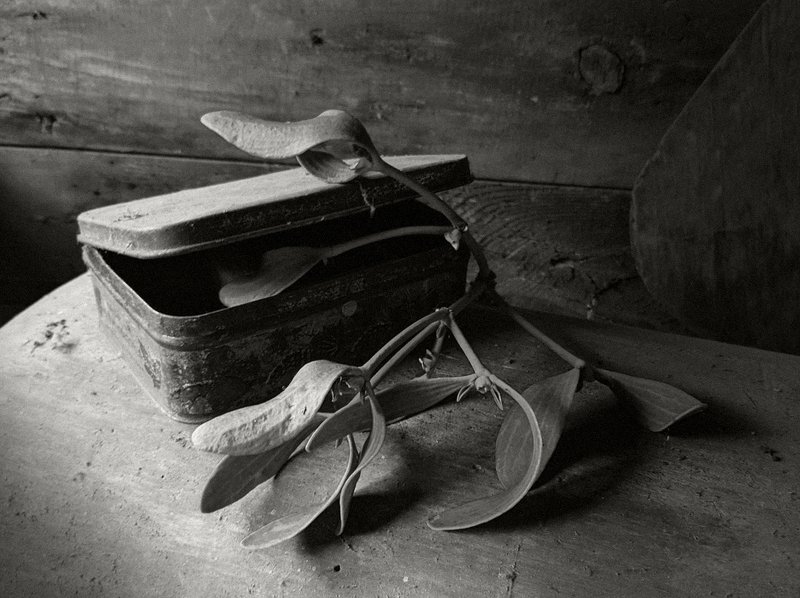 Этюд с коробкой и омелой фото превью