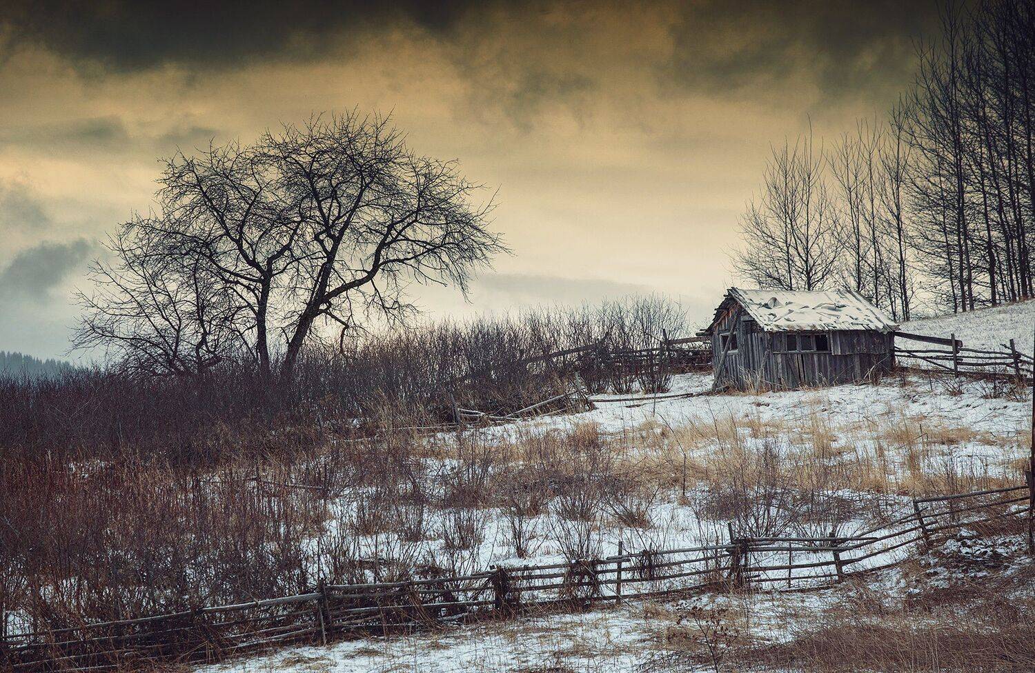 , Vladimir Karamazov