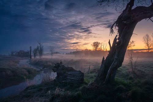 Morning in the Jeziorka valley
