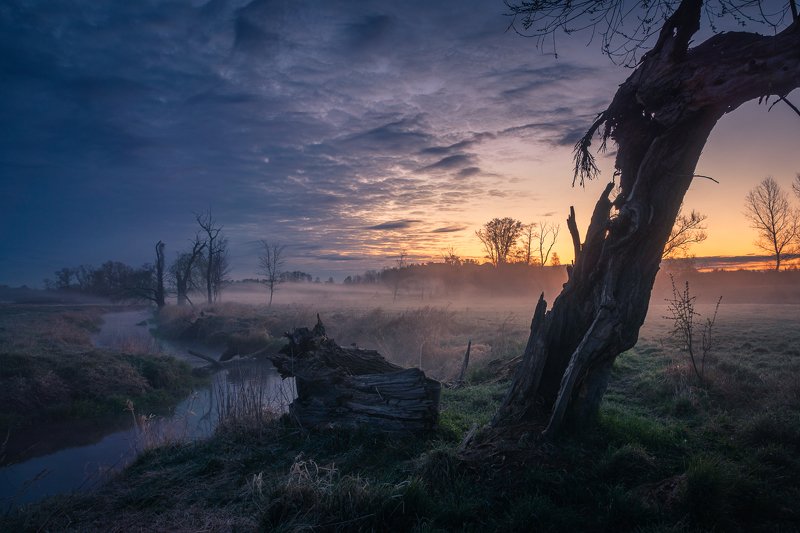 dawn, landscape, nature, river, foggy, sunrise, jeziorka,  Morning in the Jeziorka valley фото превью