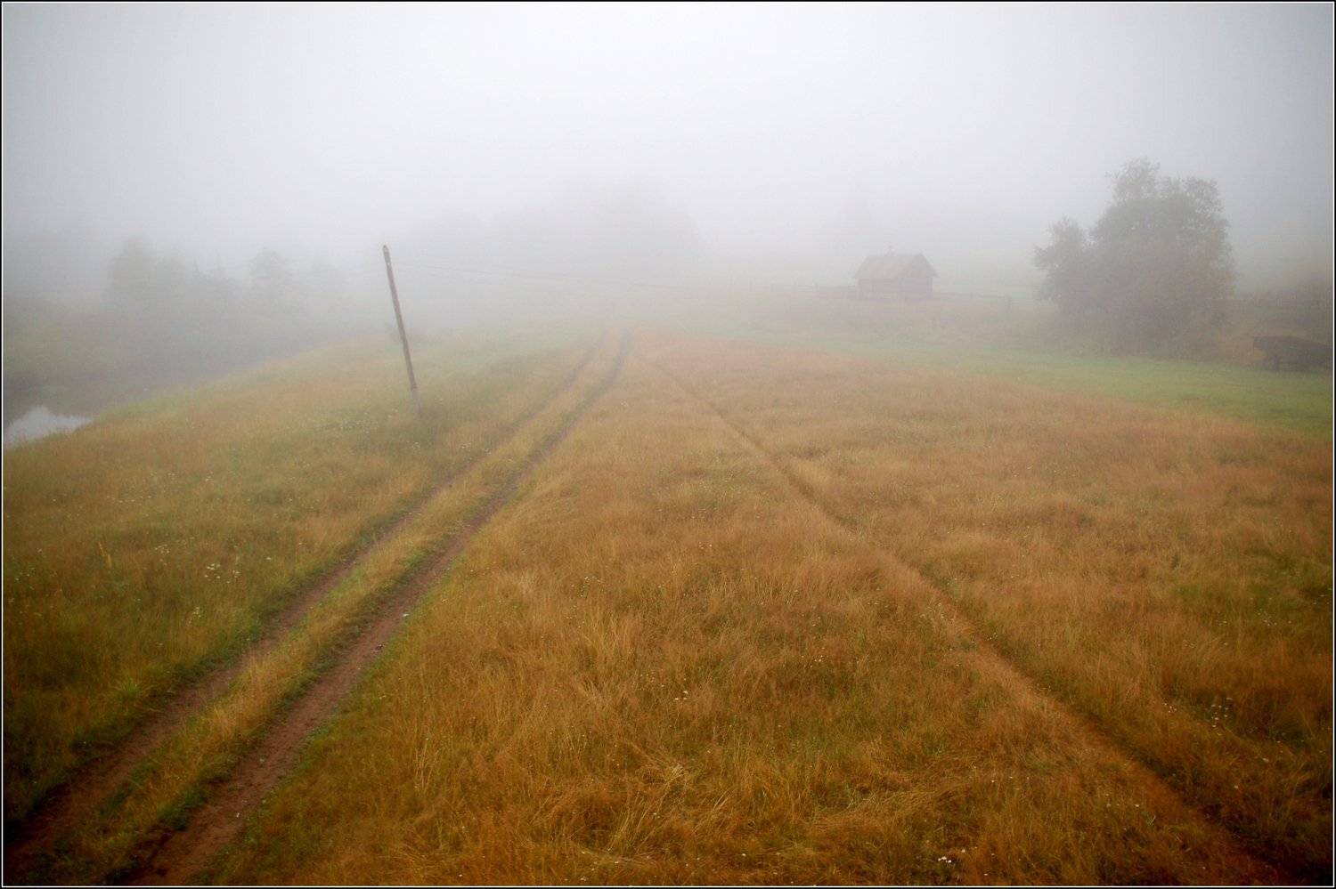 , Дарья Васильева