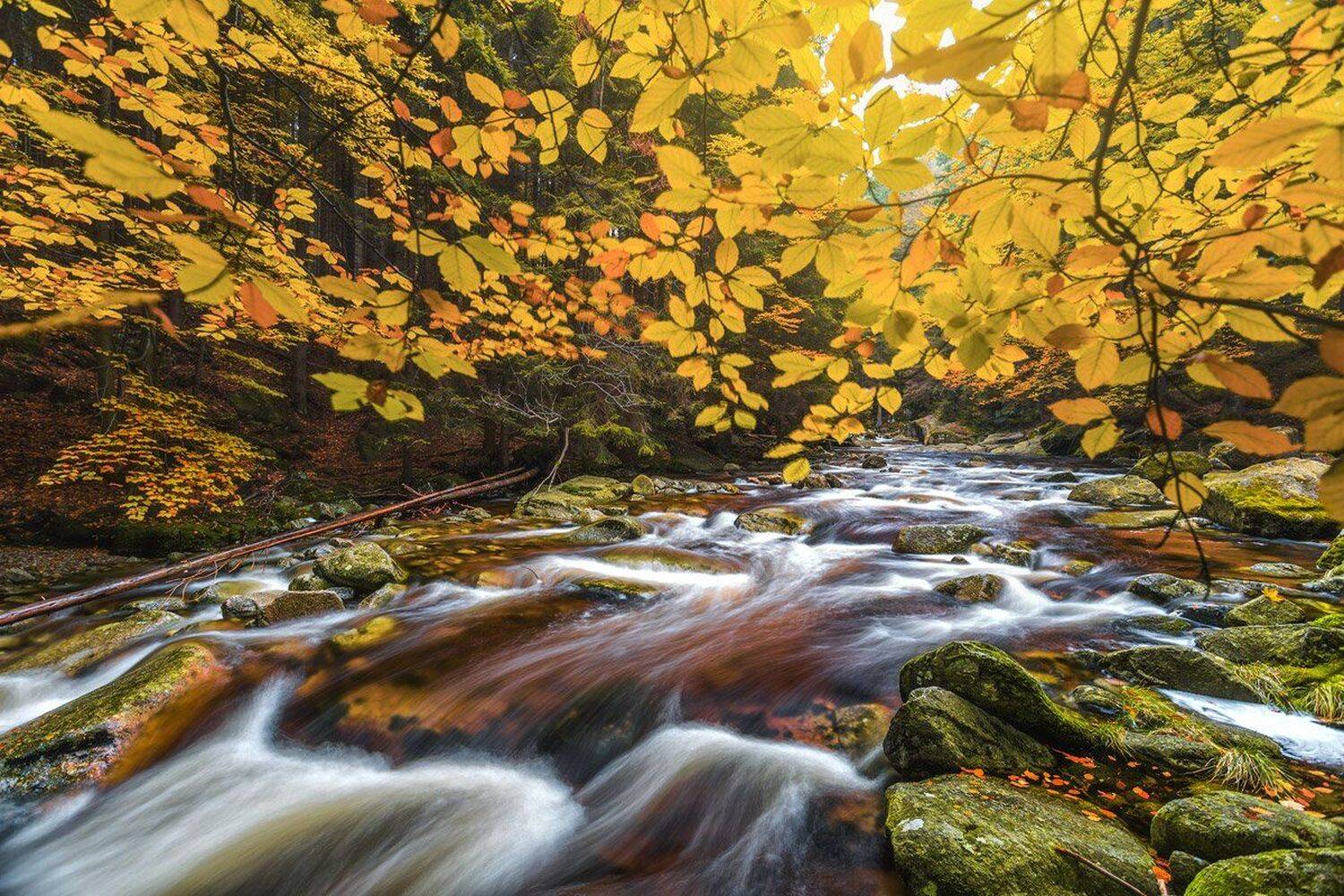 autumn,mountains,canon,waterfall, Iza i Darek Mitręga