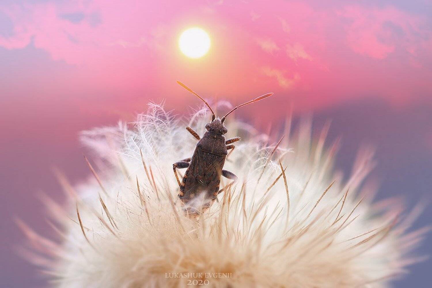 , Евгений Лукашук