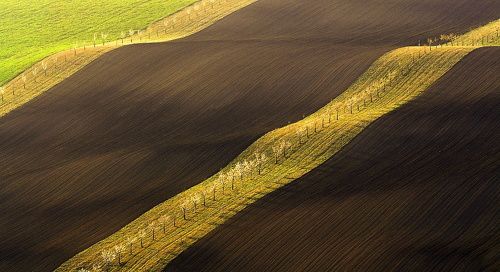 In the Moravian field