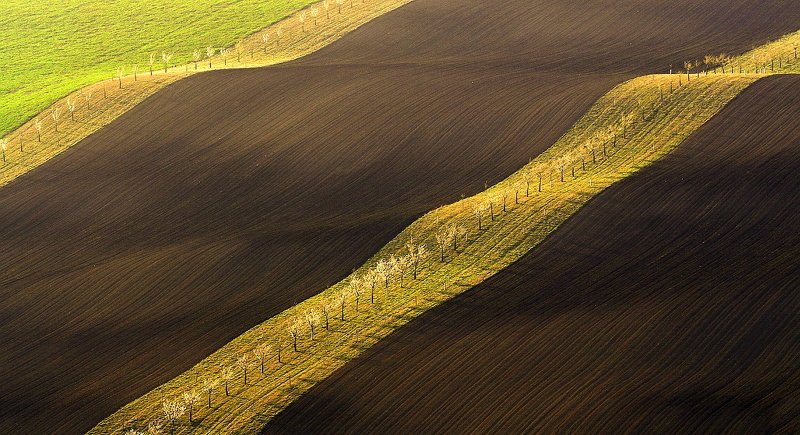 moravian tuscany In the Moravian field фото превью