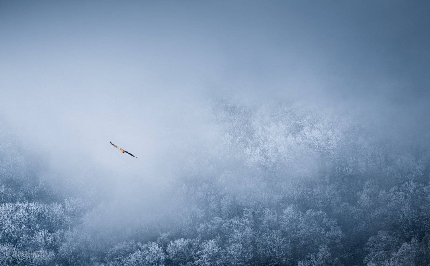 крым, зеленогорье, зима, Михаил Дубровинский