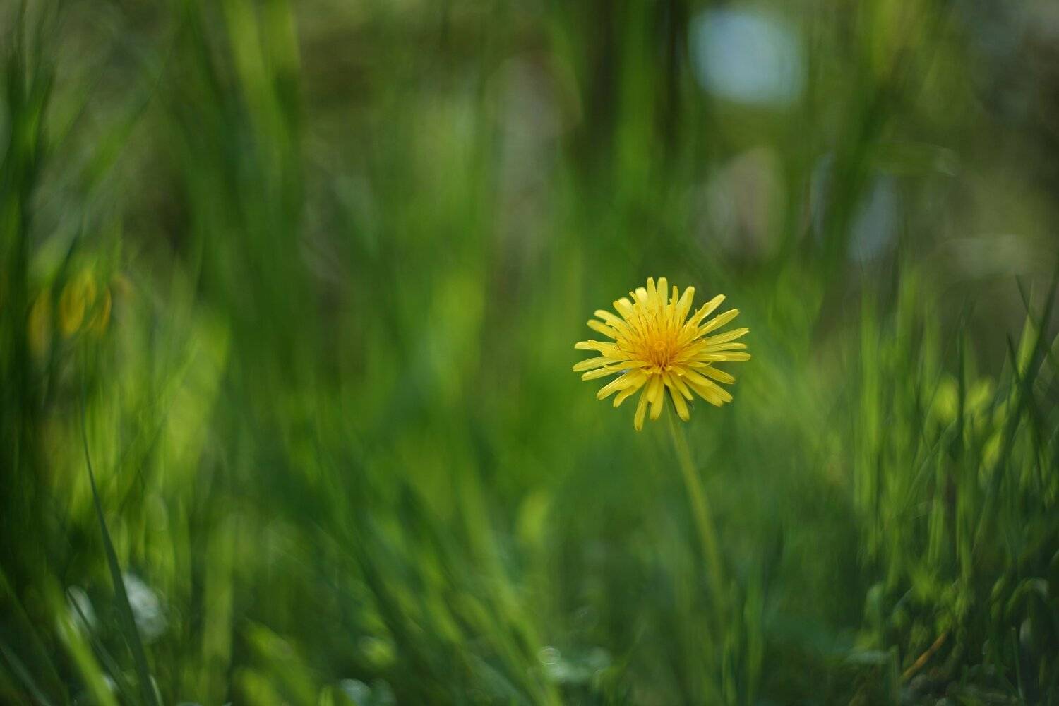 , Эдуард Колобошников