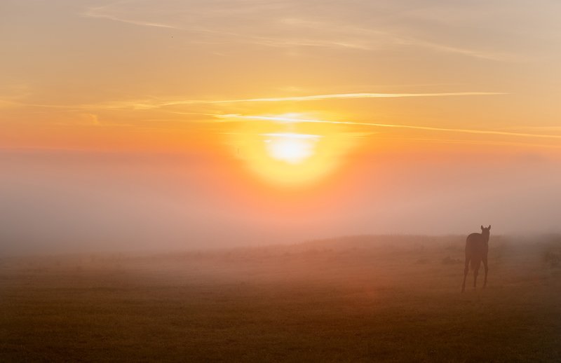 На рассвете фото превью
