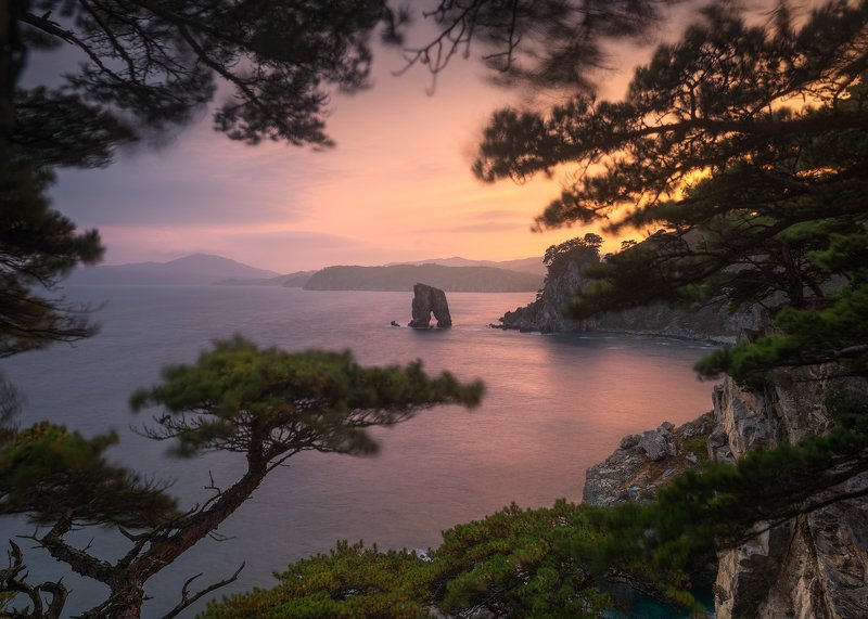 The Pine Storm фото превью