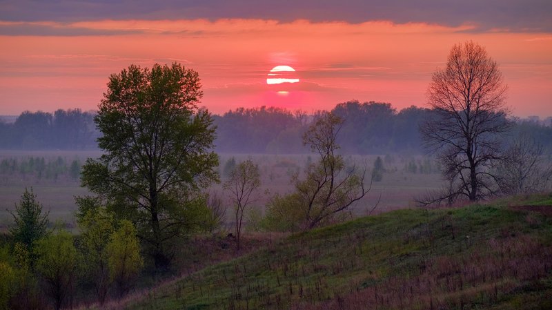 На утренней зорьке... фото превью
