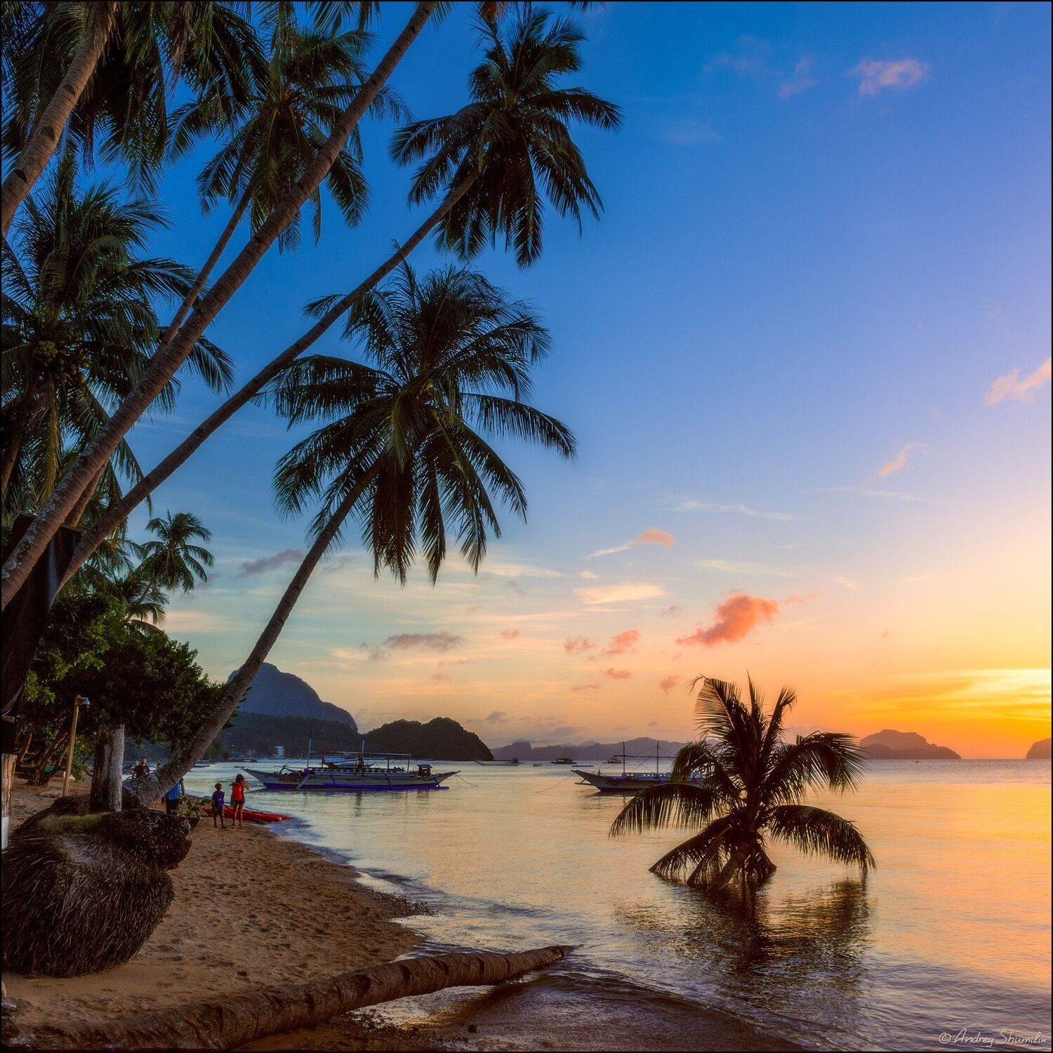 , Андрей Шумилин