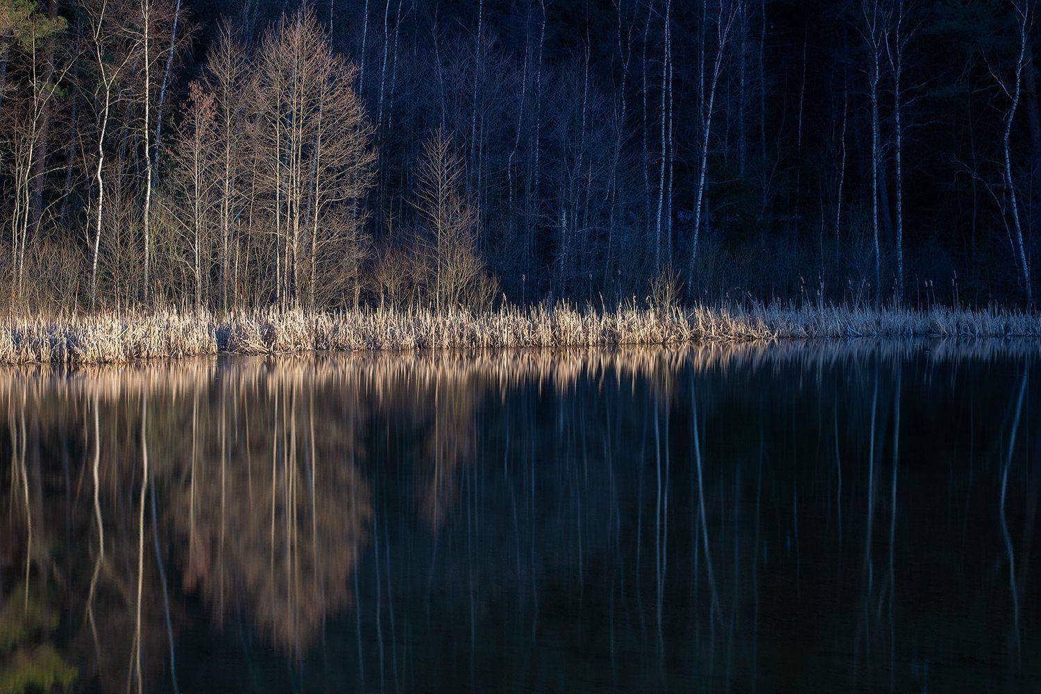 , Федотов Антон