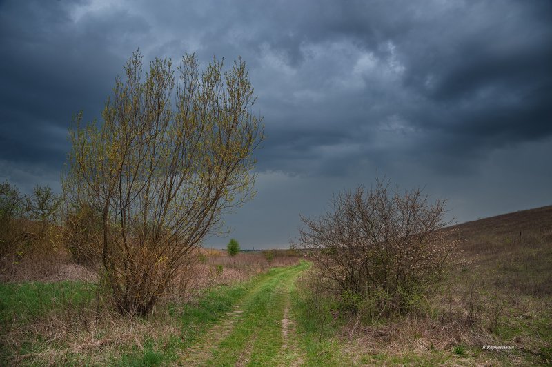 Перед грозой... фото превью