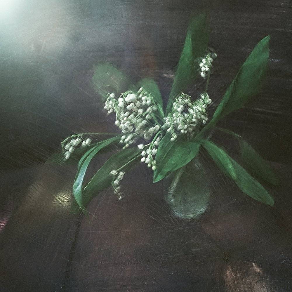 , Татьяна Аверина