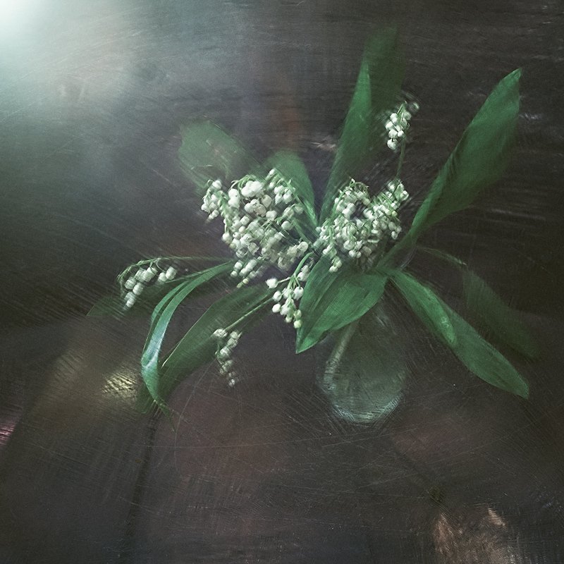 Весенний нежный сон... фото превью