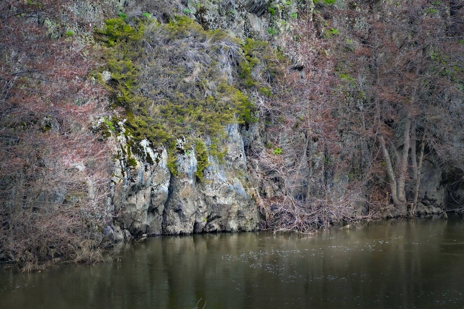 , петр чиков