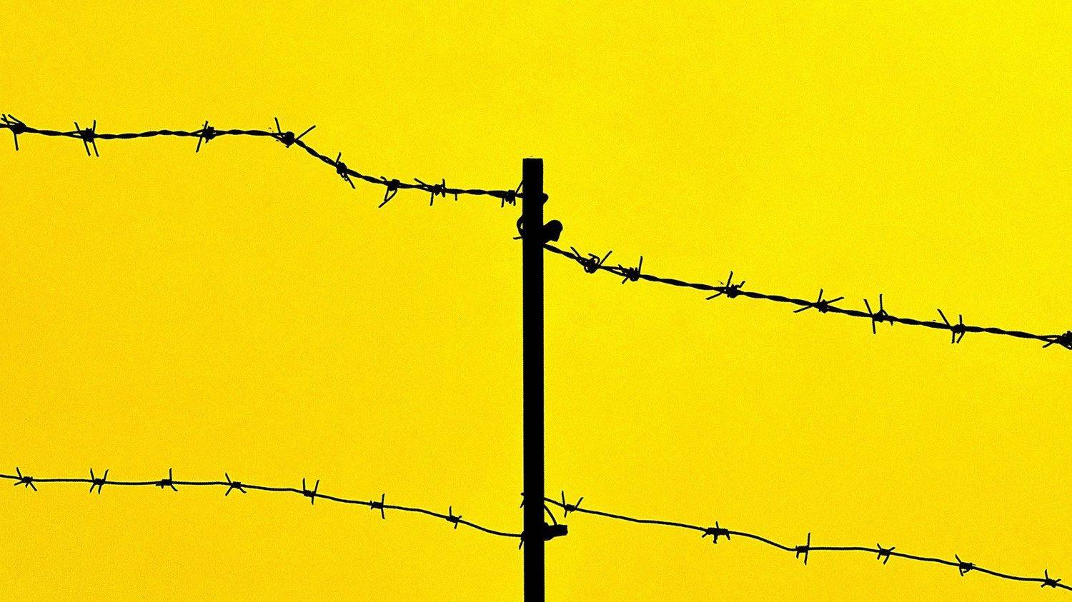 , Влад Имиров