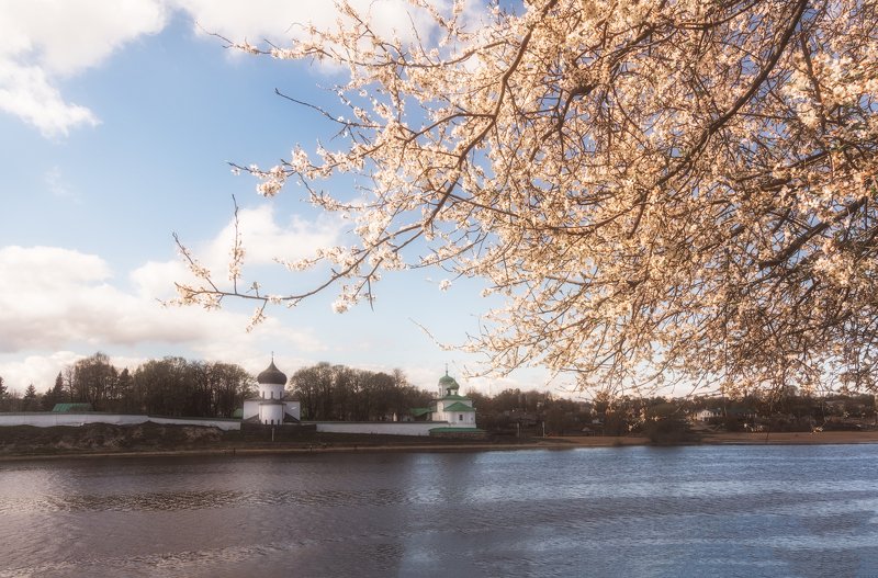 псков Май фото превью