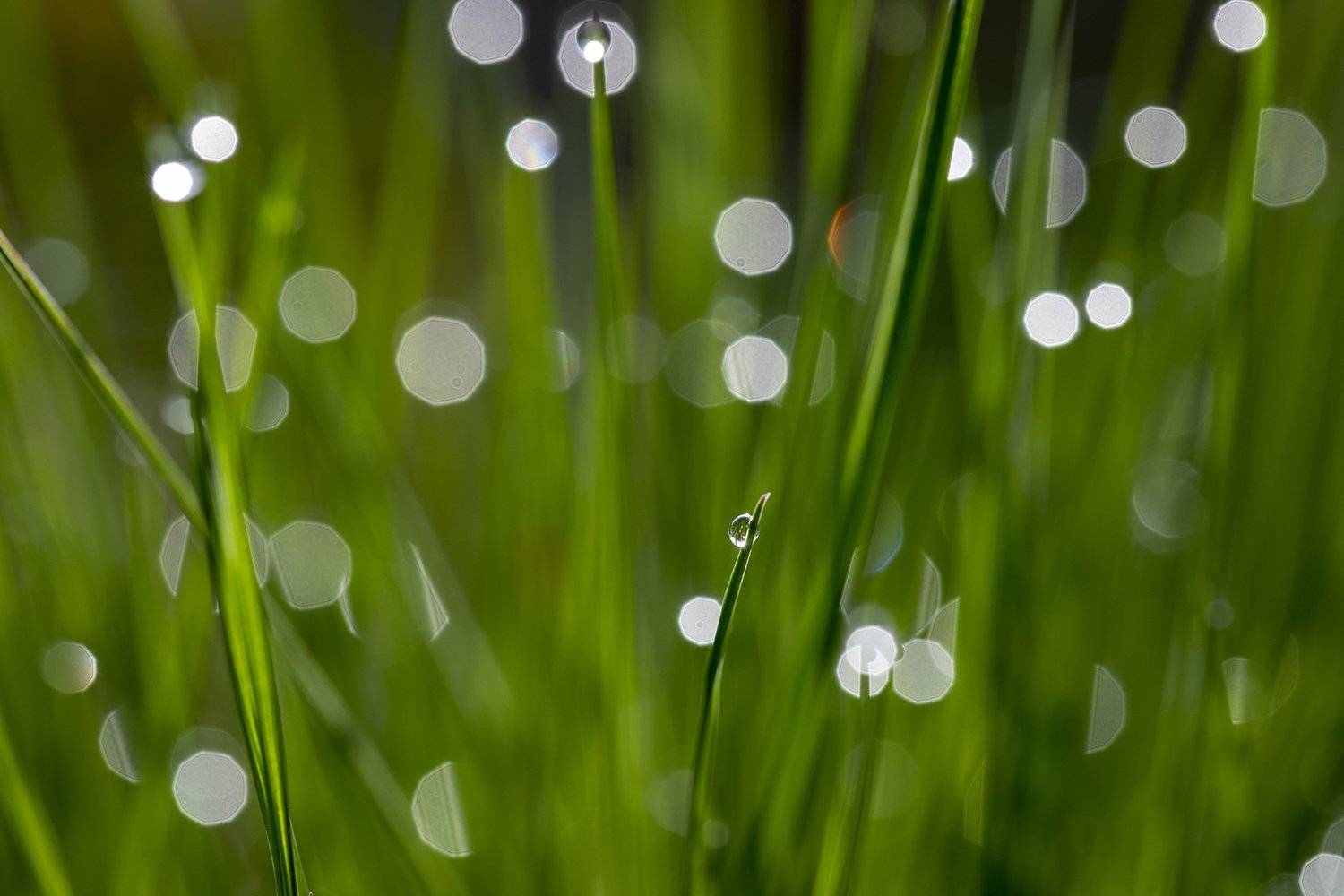 швеция,  Lapland