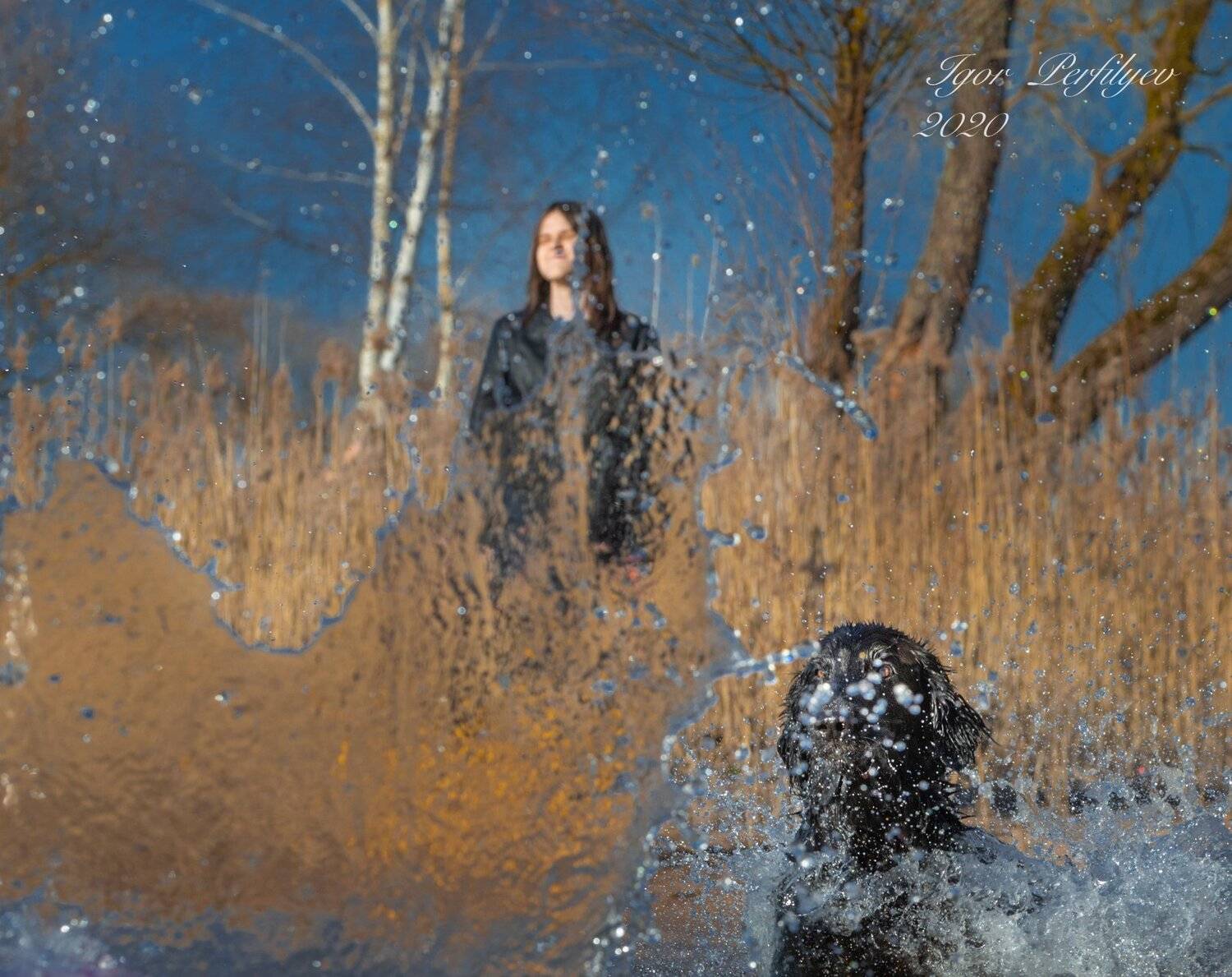 , игорь перфильев