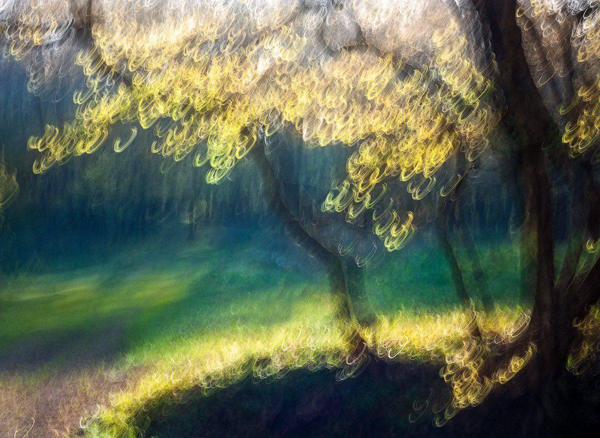 , Дитковский Евгений