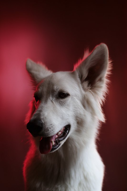 Мираж фото превью